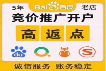 成功案例：SEM托管代运营助力业务增长